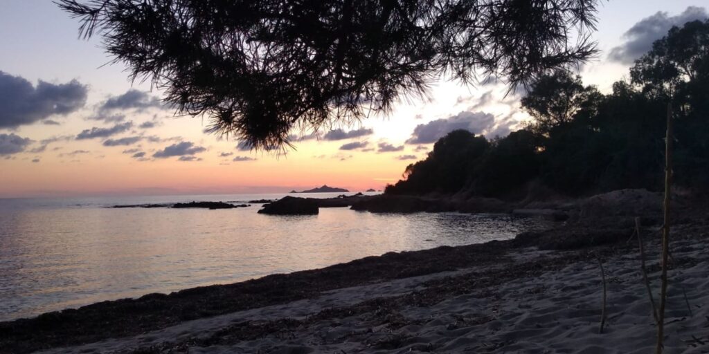 Zonsondergang vanonder een pijnboom op een strandje nabij Ajaccio