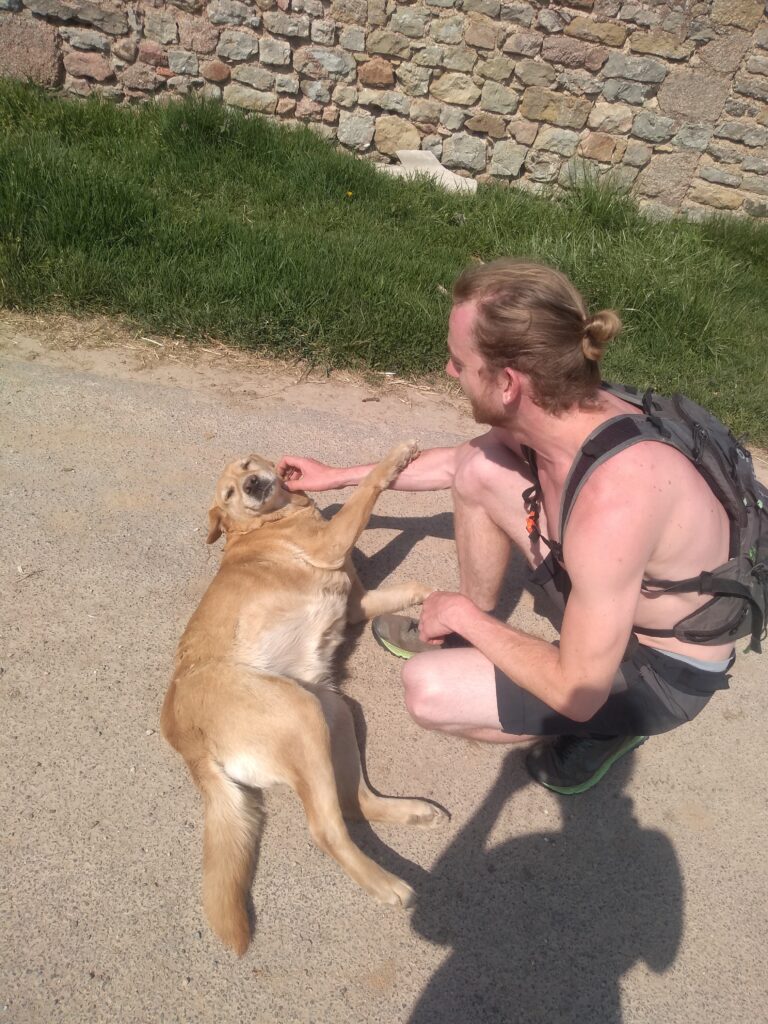 Vriend Roel met de pacifistische labrador